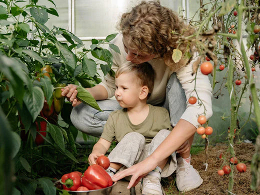 Longevity entschlüsselt: Wichtige Begriffe für Deine Gesundheitsreise
