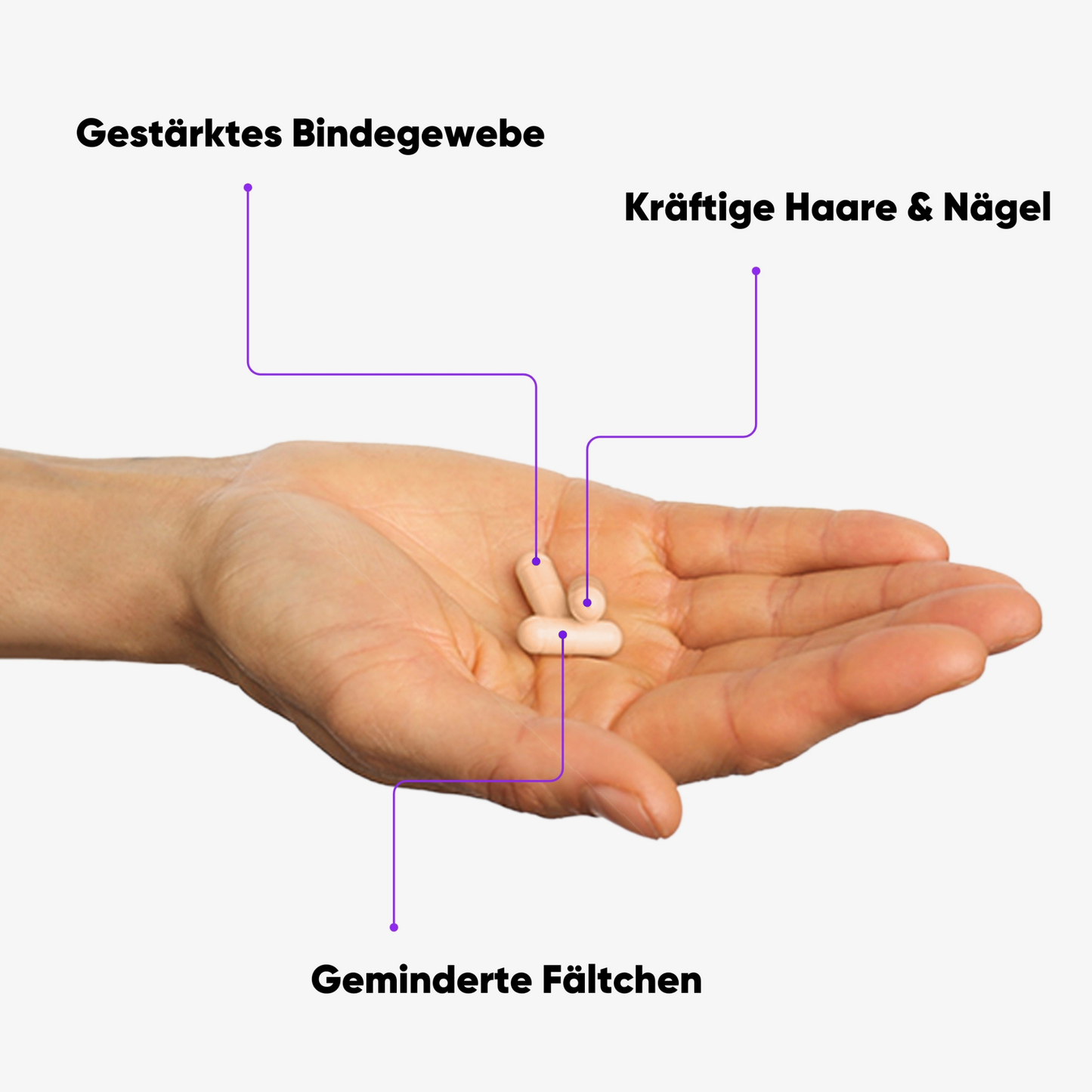 Zell- & Hautverjüngungskur